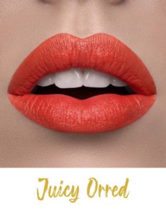 FORFYN COSMETICS: FLUFFY LIPS BY FORFYN LIPMATTE, KOSMETIK CIDA