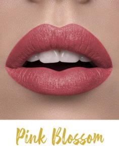 FORFYN COSMETICS: FLUFFY LIPS BY FORFYN LIPMATTE, KOSMETIK CIDA