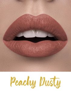 FORFYN COSMETICS: FLUFFY LIPS BY FORFYN LIPMATTE, KOSMETIK CIDA